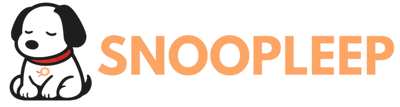 SnoopLeep